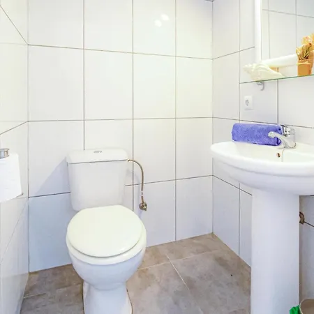 Pet Friendly In Apartamento